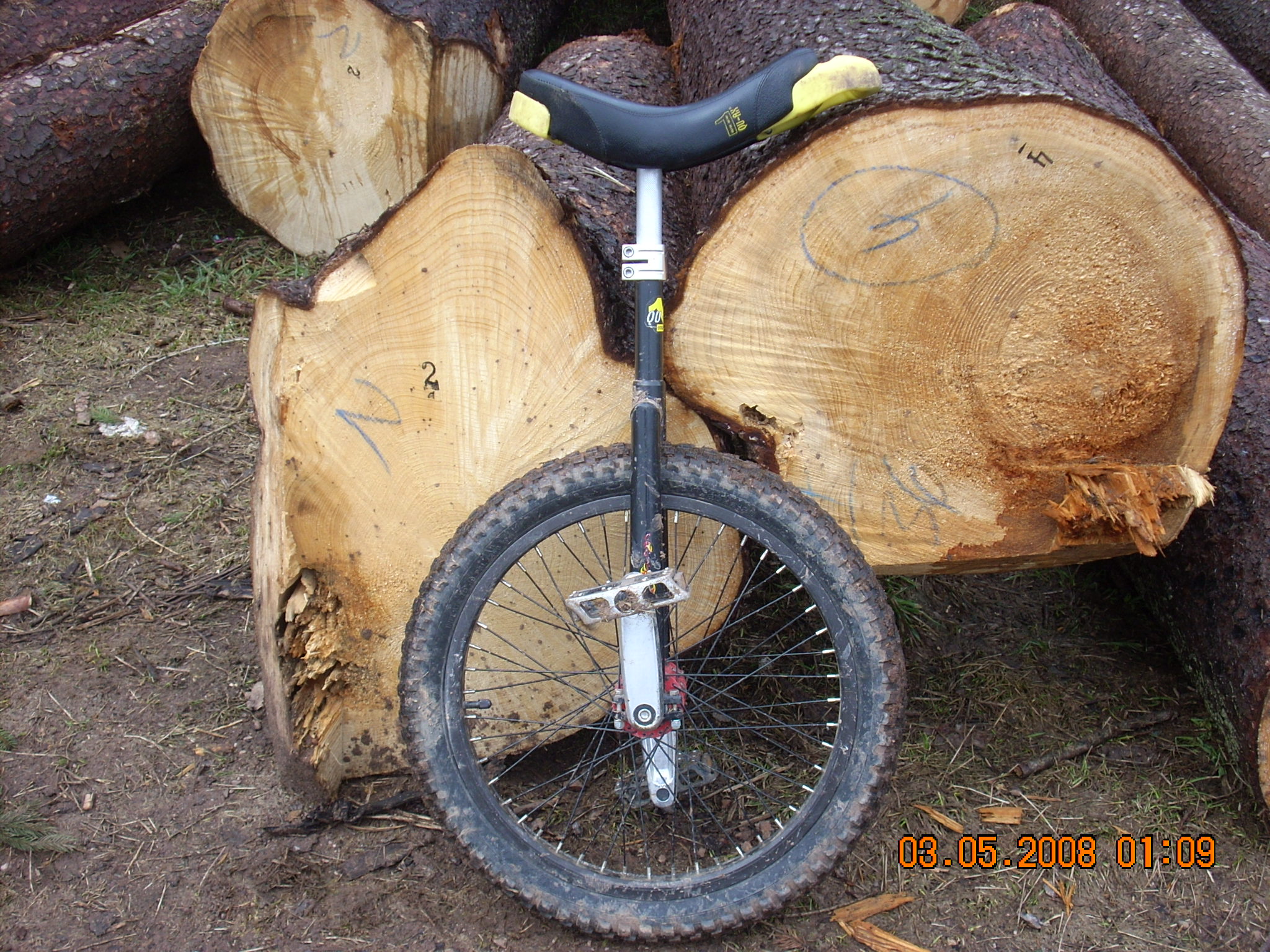 DSCN0449.jpg
