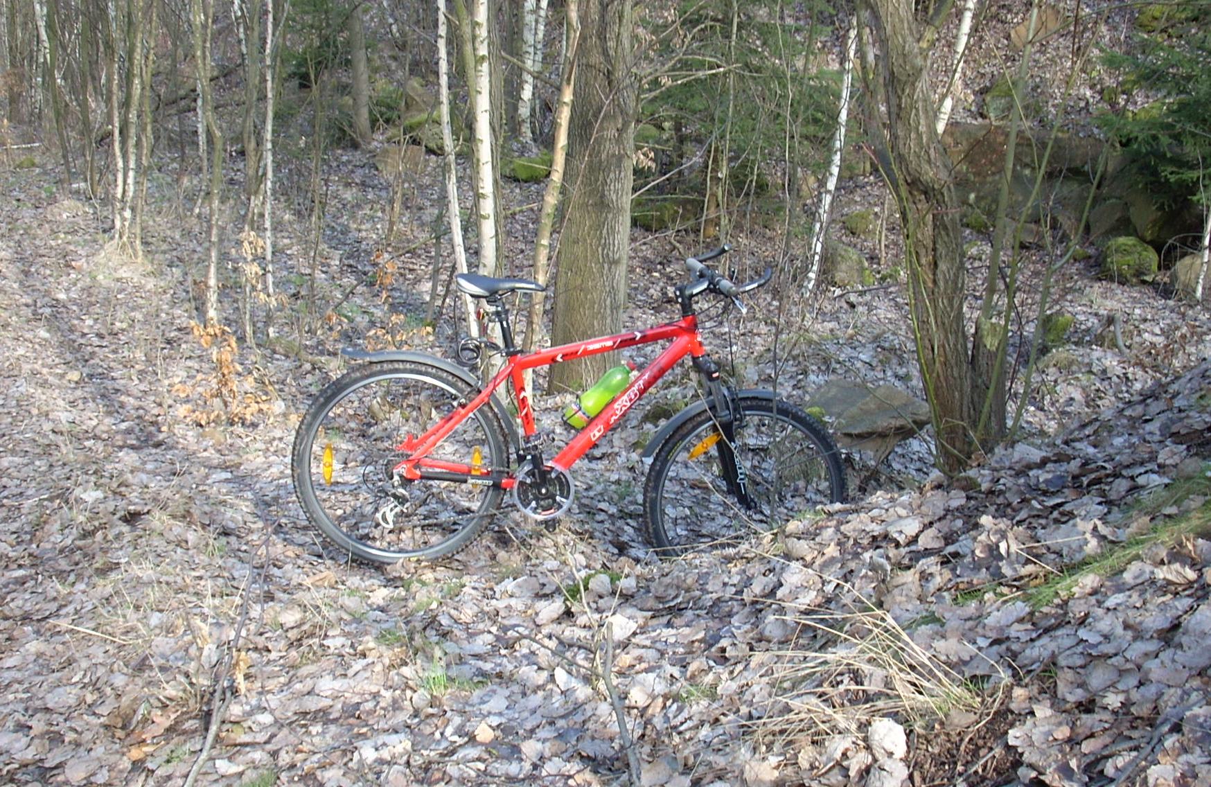 DSCN0504.jpg